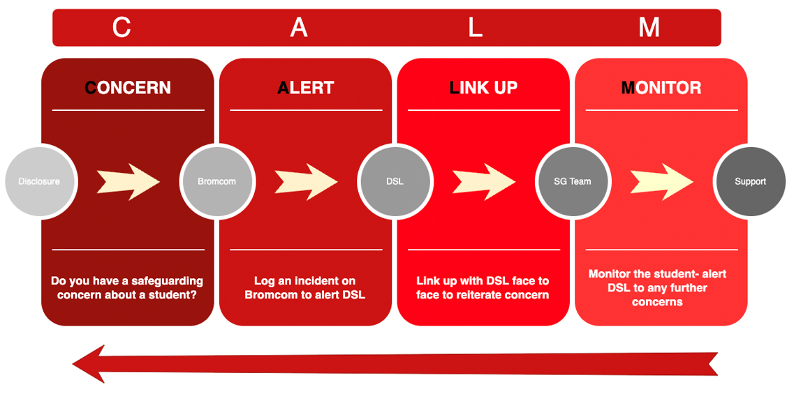 A graphic outlining the CALM Safeguarding reporting procedure.
